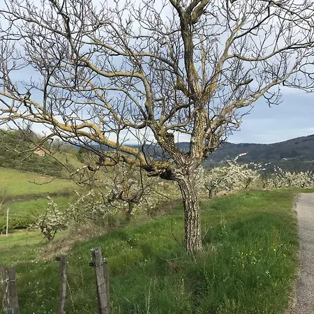Maison En Ardeche Prázdninový dům